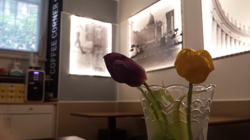 San Peter Rome B&B Bagian luar foto